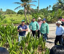 Dia de Campo da Coopaiba vai incentivar produção  em consórcio na agricultura familiar