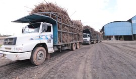 Açúcar Total Recuperável tem crescimento de 5,5% em outubro