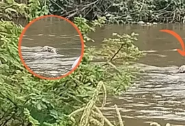 Homem desaparece e é encontrado morto boiando no Rio Mundaú