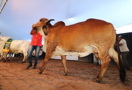 4º Genética de Berço terá facilidades no parcelamento de compras