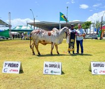 73ª Expoagro Alagoas dará pontapé na 1ª etapa do Circuito Gir Leiteiro 23/24