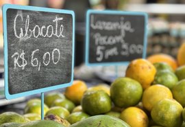 Feira de Alimentos Saudáveis valoriza pequenos produtores de Alagoas