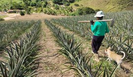 Crédito para o semiárido alagoano soma cerca de R$ 800 milhões em 2025