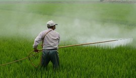 Câmara Temática de Agrocarbono Sustentável começa em março