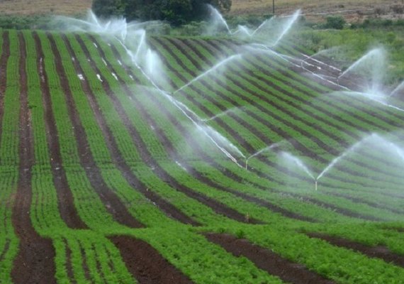 Brasil demorará 30 anos para incorporar áreas aptas à irrigação