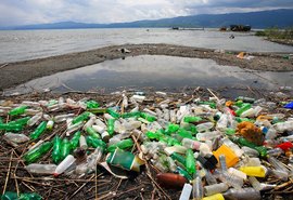 Combate à Poluição Plástica é tema do Dia Mundial do meio Ambiente, celebrado neste dia 5