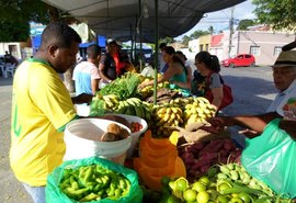 Penedo realiza Feira da Agricultura Familiar esta semana