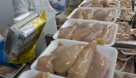 Após doença de Newcastle, governo suspende exportações de carne de frango