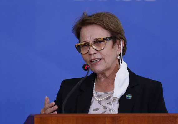 Ministra da Agricultura diz que preço do arroz pode reduzir com nova safra