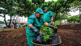 Maceió teve ampliação de serviços de limpeza e arborização