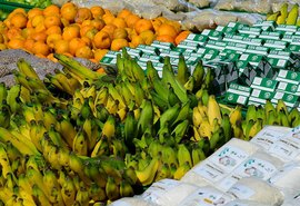 Lei amplia garantias para financiamentos do Pronaf