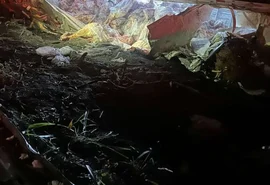 Motorista fica ferido após carreta com carne capotar na BR-101