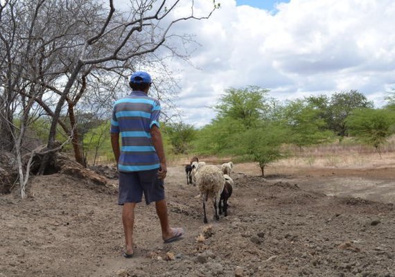 Mais de 92 mil agricultores familiares irão receber Garantia-Safra em maio