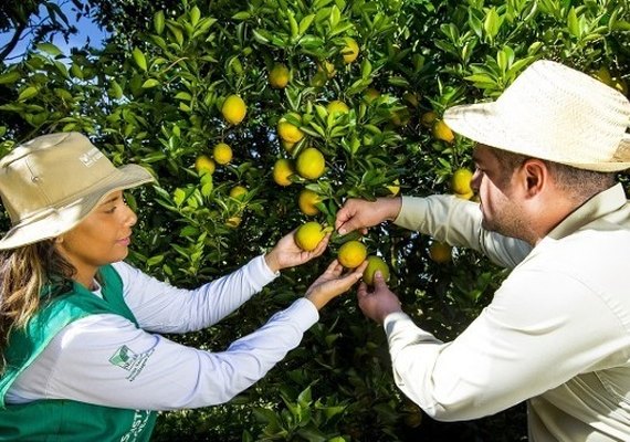 Inscrições para cursos gratuitos do Senar terminam nesta quinta; confira