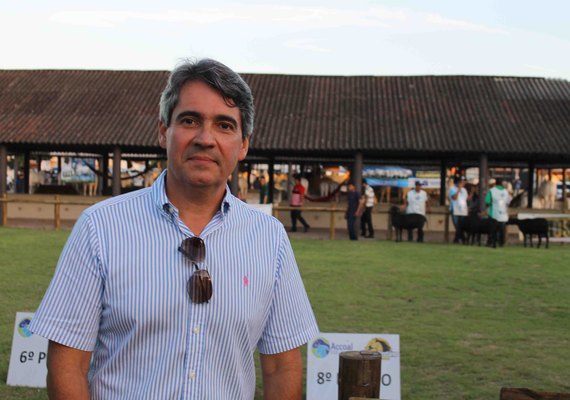 ACA aposta em 2020 de crescimento da pecuária