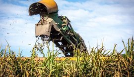 Campo Futuro debate melhoria da gestão na propriedade rural