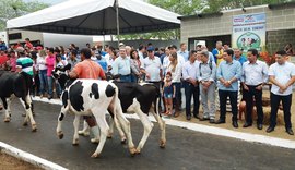 Parque Mair Amaral vai abrir portões para 36ª Expo Bacia Leiteira