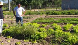 Assistência técnica garante diversificação de culturas aos produtores do Canal do Sertão