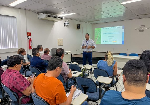 Demanda interna de grãos pode chegar até 250 mil toneladas em Alagoas este ano