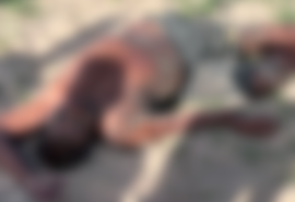 Homem é morto a pauladas após confusão em União dos Palmares