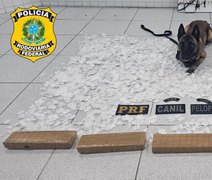 PRF encontra drogas dentro de caixa de som durante ação em Canapi