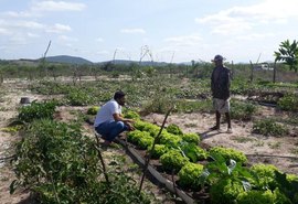 Emater realizou mais de 175 mil atendimentos aos agricultores familiares em 2021