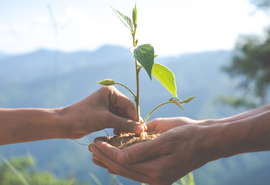 Ministério do Turismo apoia chamamento público para projetos de conservação ambiental