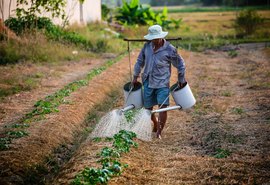 Garantia-Safra será pago em fevereiro a agricultores familiares