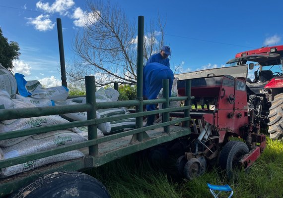 Pindorama se prepara para a colheita de arroz de sequeiro em Igreja Nova