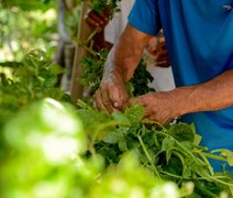 IA do MST começa a transformar a agricultura familiar no Brasil