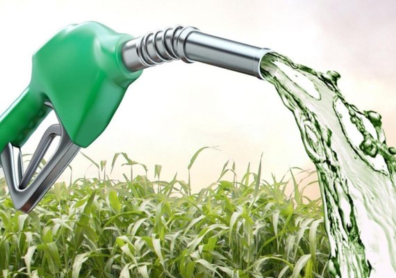 Governo estuda pacote de auxílio ao setor de etanol