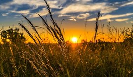 Especialistas debatem estratégias e perspectivas para a agropecuária