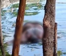 Corpo de homem é encontrado por pescadores na Lagoa Mundaú, em Maceió