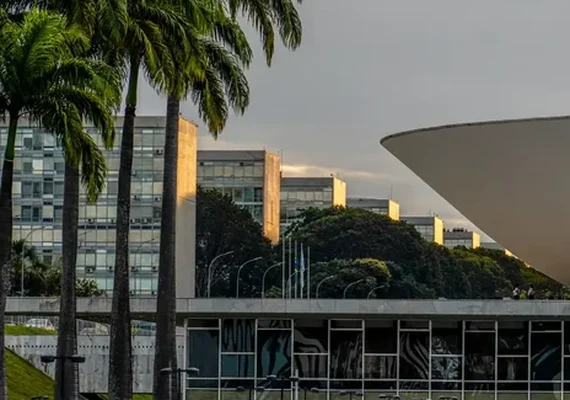 Nikolas, Pavanato e Erika lideram votação para deputado federal