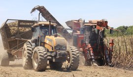 Mecanização avança nos canaviais do setor sucroenergético de AL