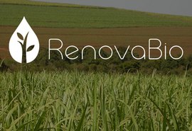 Entidades do Agro pedem inclusão de produtores rurais na Renovabio