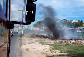 Bombeiros controlam princípio de incêndio em vegetação próxima ao Parque Municipal de Maceió