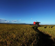 Brasil apresenta máquinas e implementos agrícolas ao mercado colombiano