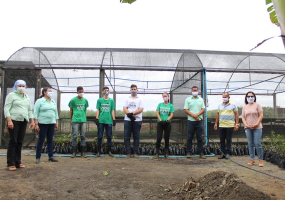 Incubadora de Pindorama comercializa duas mil mudas de árvores da mata atlântica