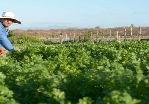 Crediamigo amplia para R$ 21 mil  o limite total de empréstimo