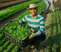 Sucessão no campo e o desafio da nova geração: o futuro das cooperativas agro em jogo