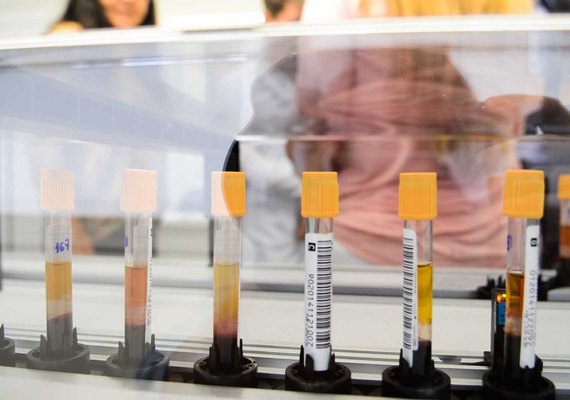 Médicos divulgam orientações sobre vacina contra febre amarela