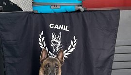 Cão farejador encontra drogas escondidas em obra e casa abandonada em AL