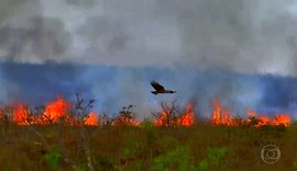 Novo governo Biden pode impactar o agronegócio brasileiro