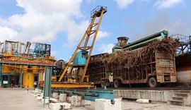 Usinas já ultrapassam dois milhões de toneladas de cana processadas