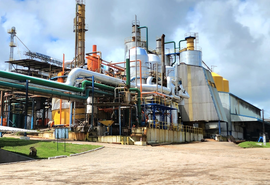 Pindorama inicia safra 23/24 apostando em recorde