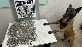 Canil da PM apreende maconha e cocaína em área de mata em Arapiraca