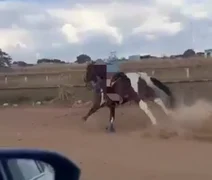 Vídeo: jovem se desespera após cavalo disparar em rua de Goiás