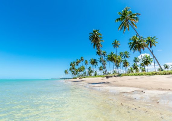 Praia de Patacho terá bandeira azul, certificado internacional de turismo sustentável, hasteada em sua orla nesta sexta (10)