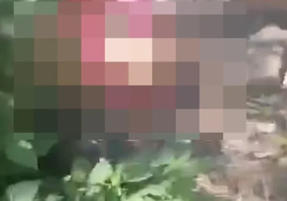 Mulher é encontrada morta a tiros em área de mata na parte alta de Maceió